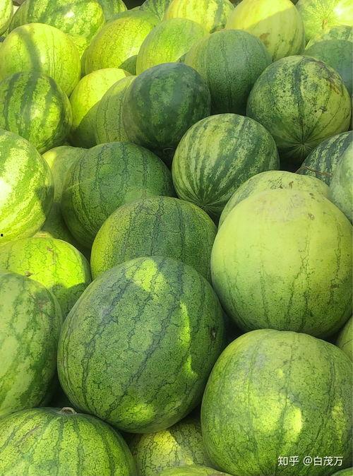 现现吃瓜,现现吃瓜，一窥明星幕后生活  第2张